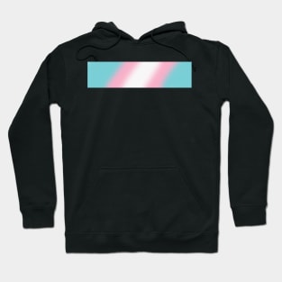 Trans Pride Clothes Hoodie